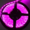 Race Sport Lighting 16' 5050 LED Tape Light Strip, Purple 1 Race Sport Lighting 16' 5050 LED Tape Light Strip, Purple -RV Camping Store Sale 133036 1