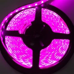 Race Sport Lighting 16' 5050 LED Tape Light Strip, Purple