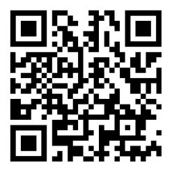 Stromberg Carlson 60" Interior Bunk Ladder For RV, Silver -RV Camping Store Sale 133109 3