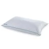 Isotonic ISOCOOL Polyester Pillows, Jumbo 2-Pack -RV Camping Store Sale 139933 1