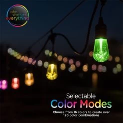 Enbrighten Vintage Seasons LED Color-Changing Cafe String Lights, 24' 19 Enbrighten Vintage Seasons LED Color-Changing Cafe String Lights, 24' -RV Camping Store Sale 382274 7