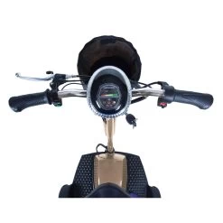 ZOOME 3 Electric Scooter -RV Camping Store Sale 623078 SILV 2